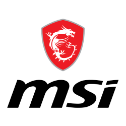 Msi Logo